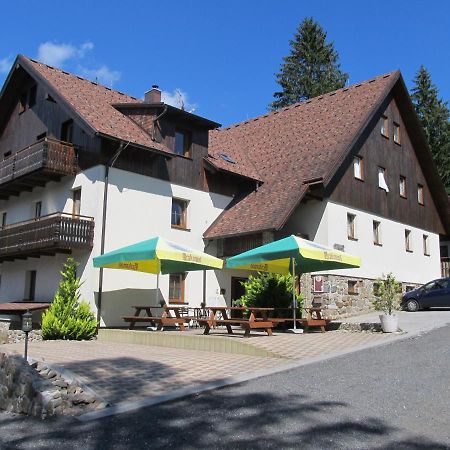 Penzion Alpsky Dum Hotel Zelezna Ruda Exterior photo