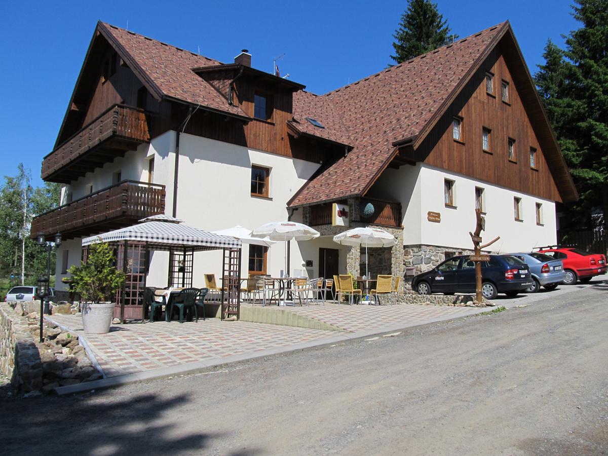 Penzion Alpsky Dum Hotel Zelezna Ruda Exterior photo